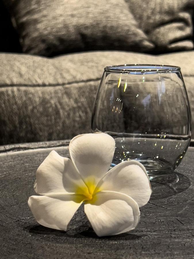 Aloha Villas - Modern Villas With Private Pool And Lush Gardens Kuta  Екстериор снимка